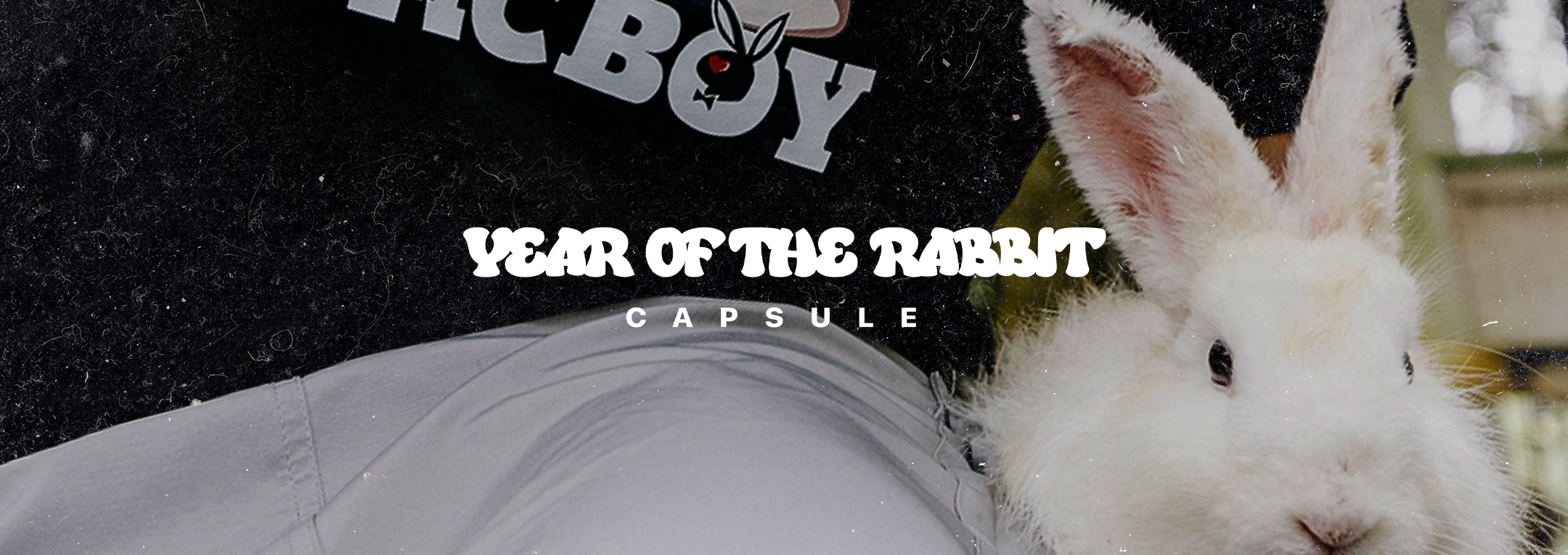 Year of the Rabbit Capsule
