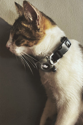 PMC Cat Collar