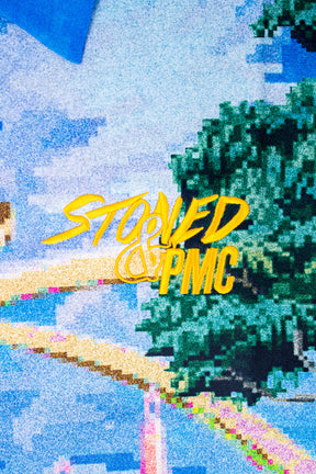 Stoned X PMC: The Union Pixel Revere Shirt